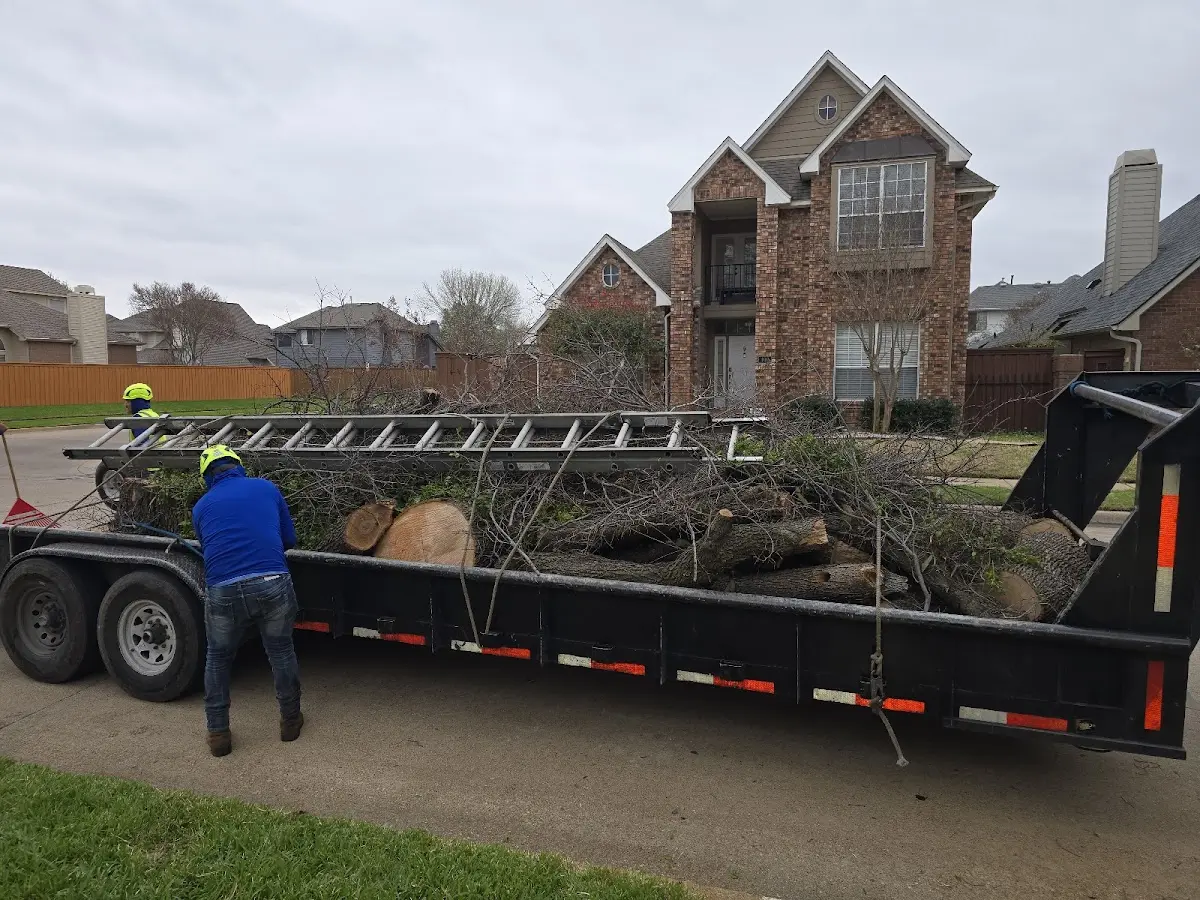 Expert Tree Fertilization with proper safety equipment in Levasy